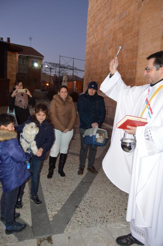 San Antón en Cigales.