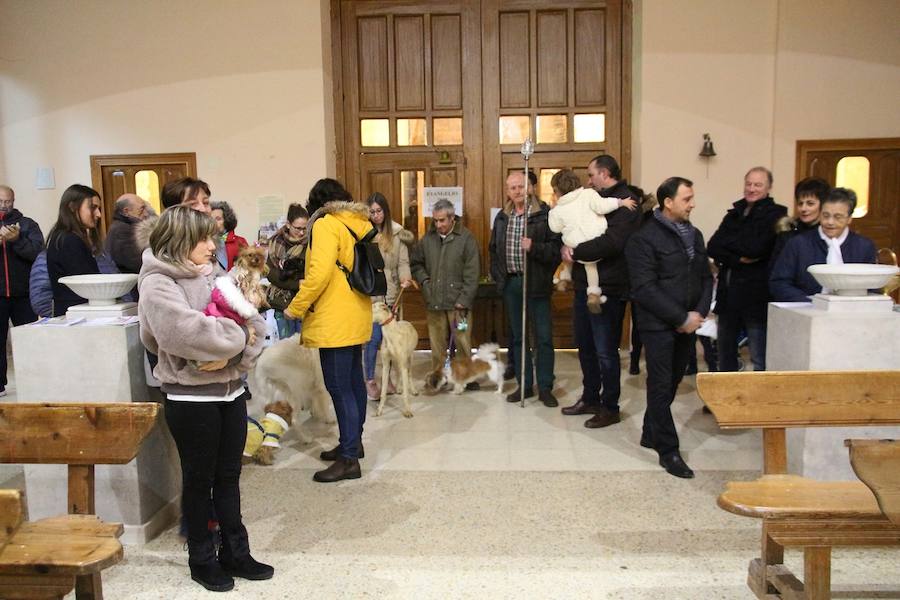 San Antón en Medina de Rioseco.