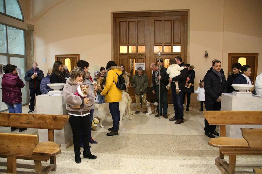 San Antón en Medina de Rioseco.