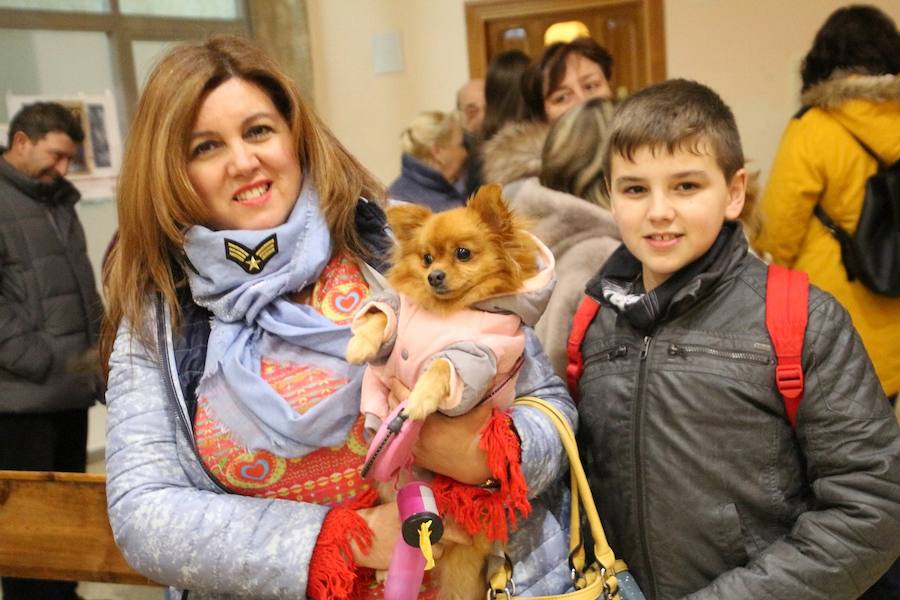 San Antón en Medina de Rioseco.