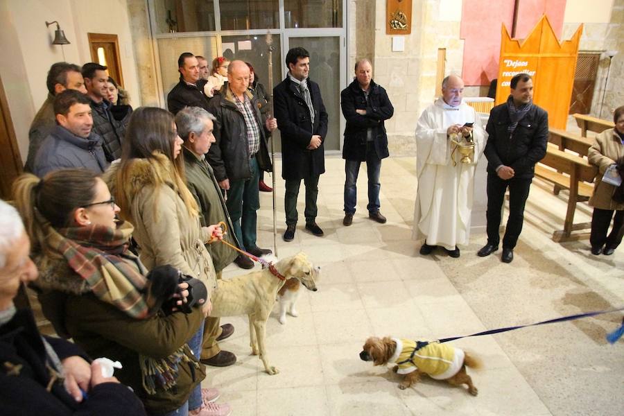 San Antón en Medina de Rioseco.