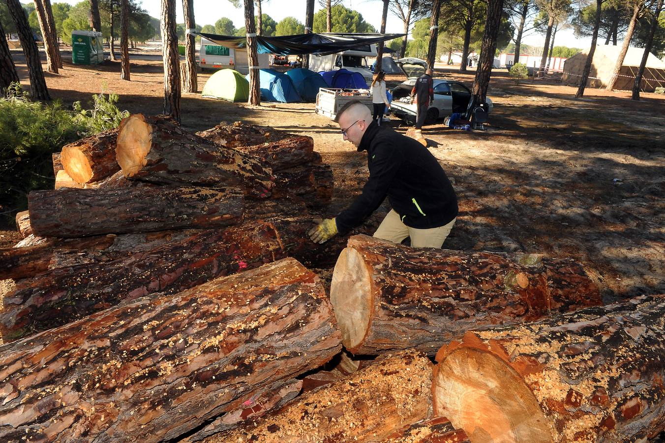 Llegan los primeros Motauros a Tordesillas