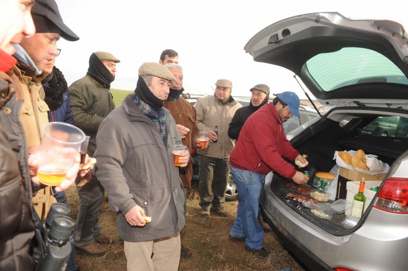 Arranca el campeonato Nacional de Galgos en Madrigal de las Altas Torres