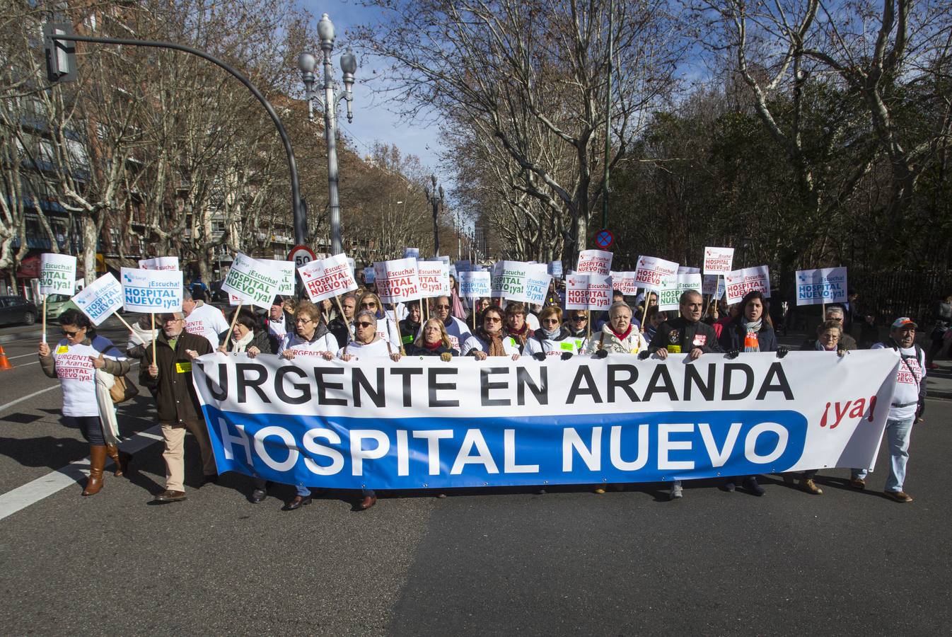 Miles de personas recorren las calles de Valladolid en defensa de la Sanidad de Castilla y León