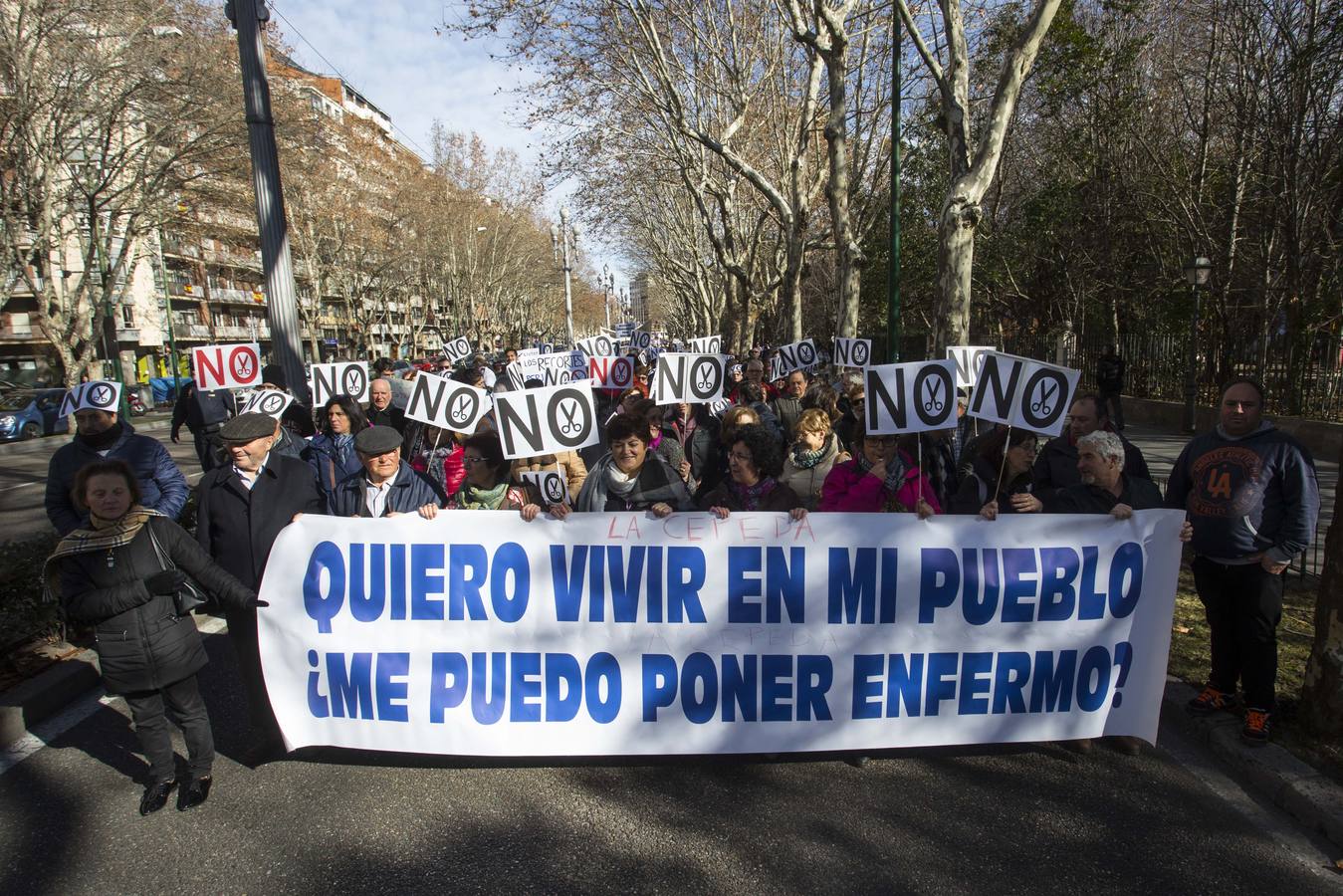 Miles de personas recorren las calles de Valladolid en defensa de la Sanidad de Castilla y León