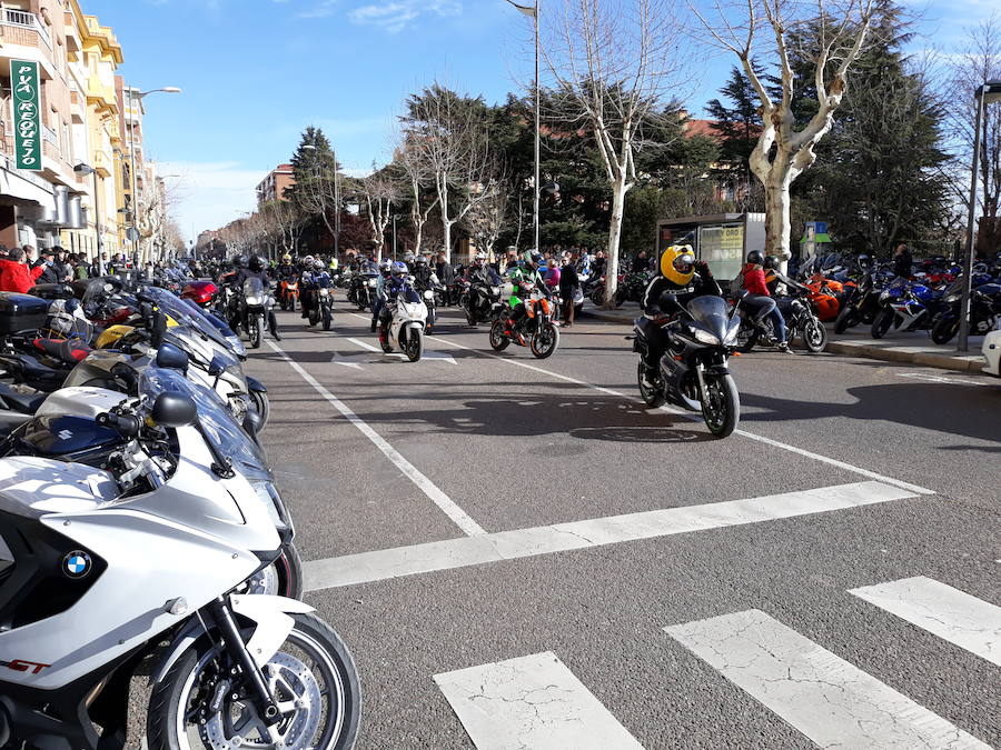 Excursión de Motauros a Zamora