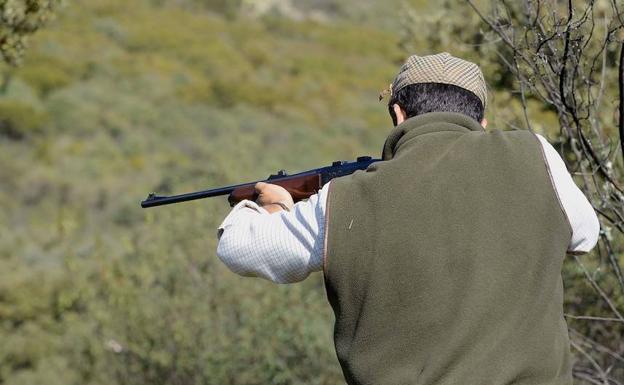 Un cazador dispara con su rifle a una pieza. 