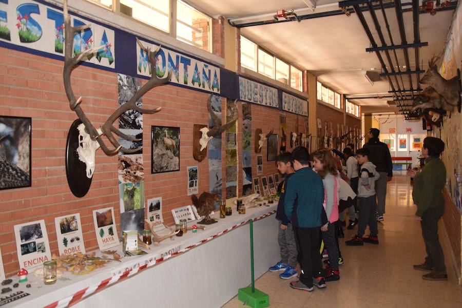 Colegio Las Rozas de Guardo, en imágenes