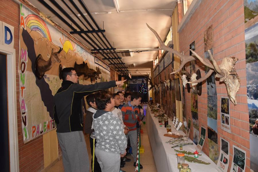 Colegio Las Rozas de Guardo, en imágenes