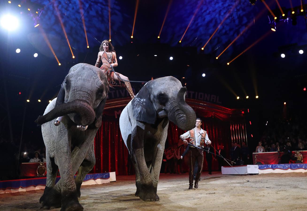 El Festival Internacional del Circo de Montecarlo celebra este año su 42ª edición
