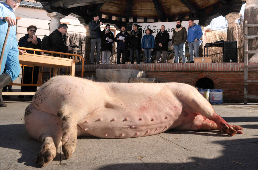 Matanza del Cerdo en Simancas