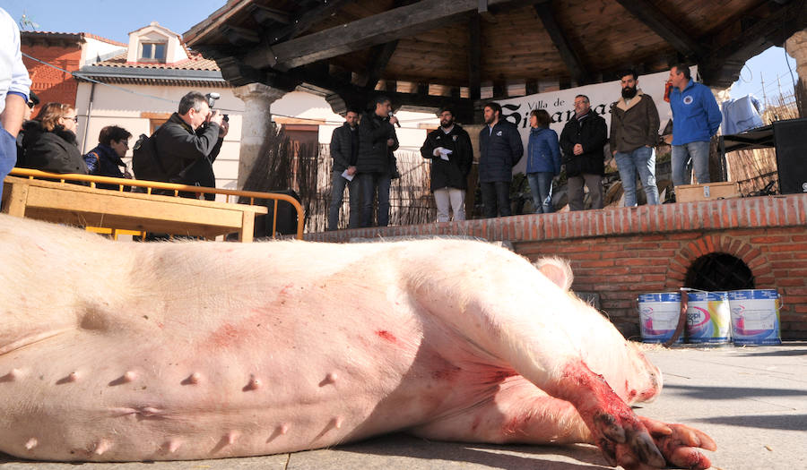 Matanza del Cerdo en Simancas