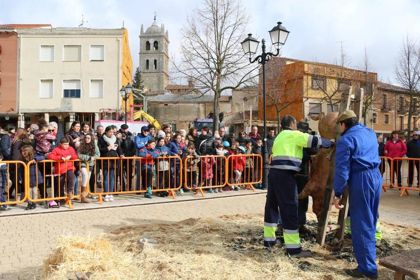 Fiesta de la Matanza en Dueñas