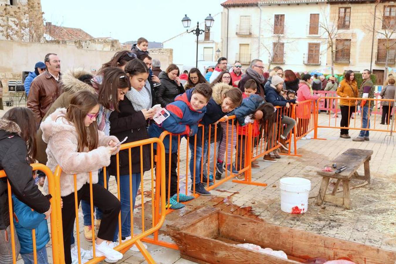 Fiesta de la Matanza en Dueñas