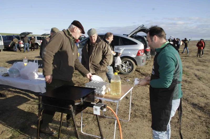 Ambiente en la carrera de galgos de este sábado en Madrigal de las Altas Torres, durante los cuartos de final del Campeonato Nacional