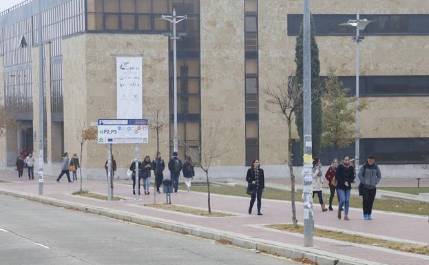 Grupos de estudiantes pasean por el Campus Unamuno. 