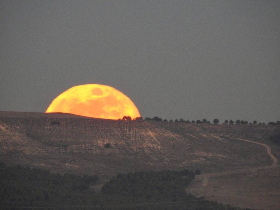 Así fue la salida de la superluna en Valladolid en la tarde-noche del 31 de enero de 2018