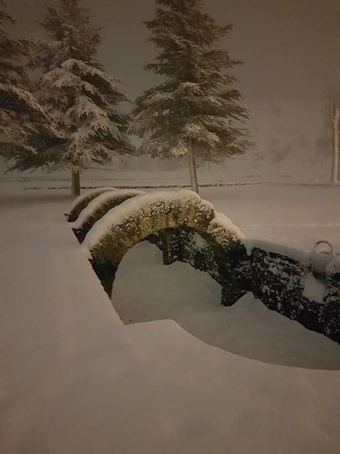 Nevada en Velilla (02-02-2018)
