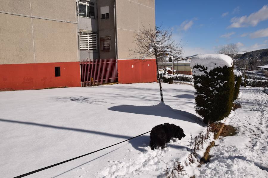 Nevada en Guardo el 2 de febrero de 2018