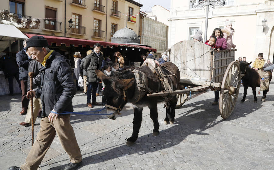 Palencia vive su Mercado Tradicional de las Candelas