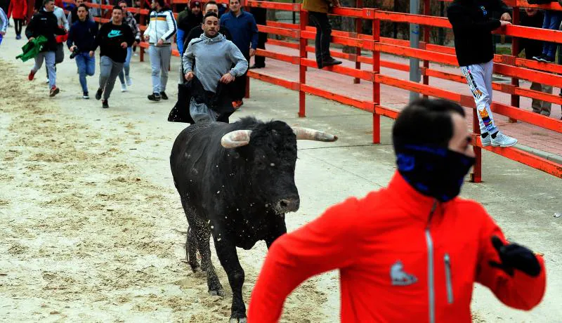 Encierro en Viana de Cega