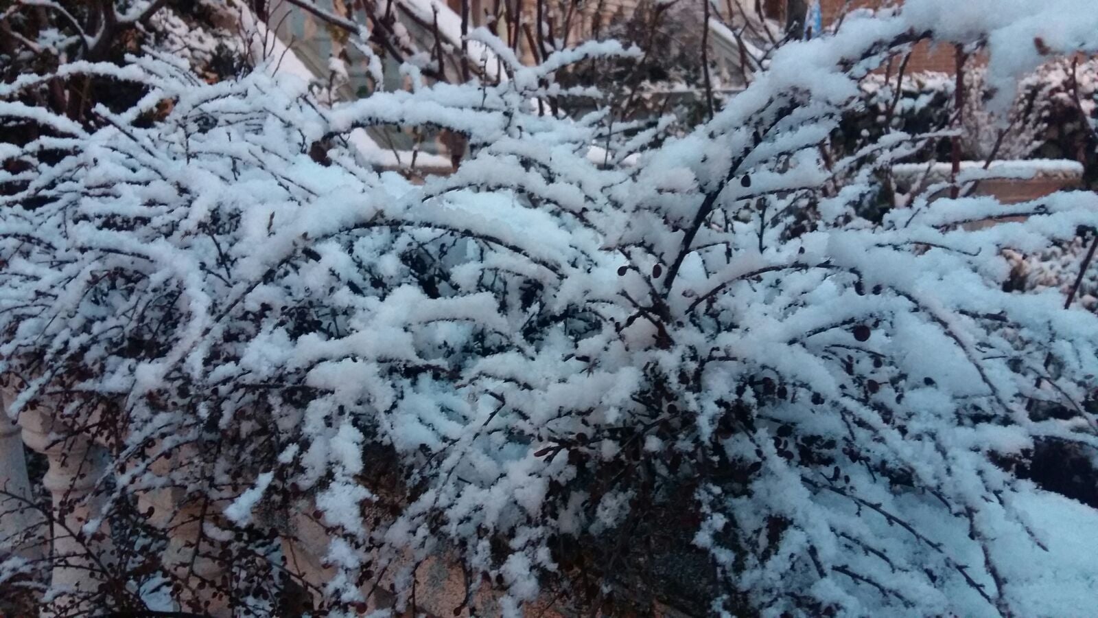 Nieve en Medina del Campo