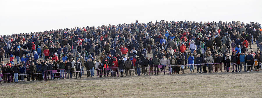 Final del Campeonato de España de Galgos, celebrado en Madrigal de las Altas Torres
