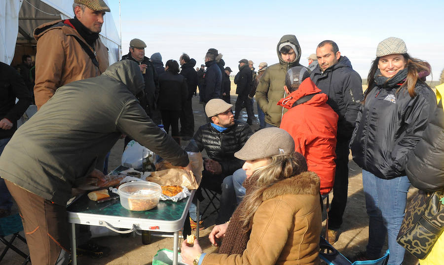 Final del Campeonato de España de Galgos, celebrado en Madrigal de las Altas Torres