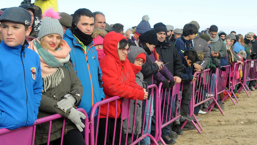 Final del Campeonato de España de Galgos, celebrado en Madrigal de las Altas Torres