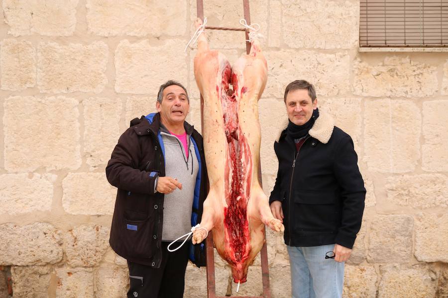 Fiesta de la Matanza en Tariego de Cerrato