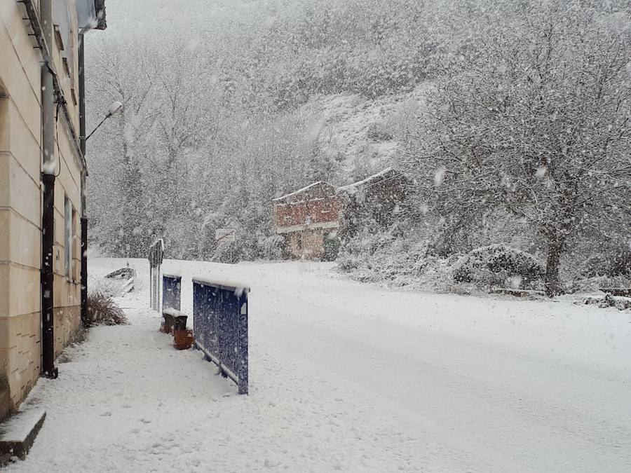 Aquí tienen una selección de fotografías de nieve enviadas por algunos de nuestros lectores. Se pueden ver imágenes de Tubilla del Agua, Ura, Belorado, Fuentelcésped, Quintanar de la Sierra, Espinosa de los Monteros, Valle de Zamanzas o Sargentes de la Lora