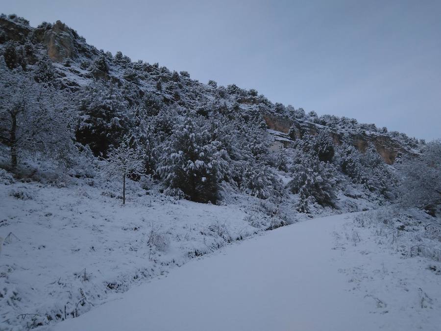 Aquí tienen una selección de fotografías de nieve enviadas por algunos de nuestros lectores. Se pueden ver imágenes de Tubilla del Agua, Ura, Belorado, Fuentelcésped, Quintanar de la Sierra o Sargentes de la Lora