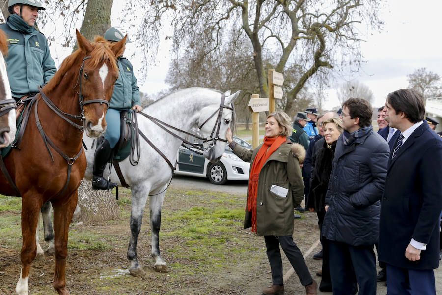 La ministra de Agricultura y Pesca, Alimentación y Medio Ambiente, Isabel García Tejerina, visitó esta mañana el parque fluvial de la Aldehuela, en Salamanca, y la Isla del Soto. 