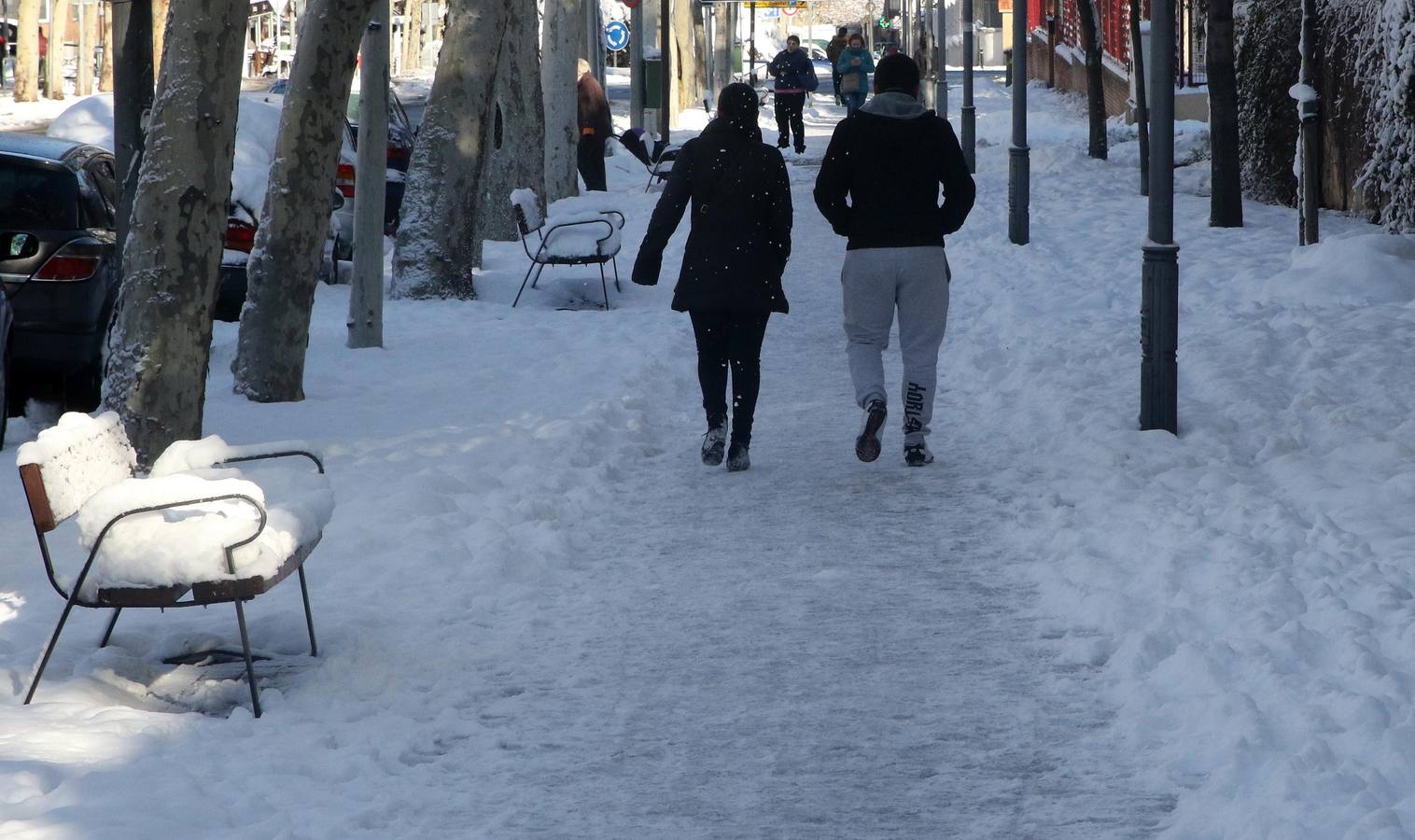 La nieve ha dado paso a la formación de placas de hielo