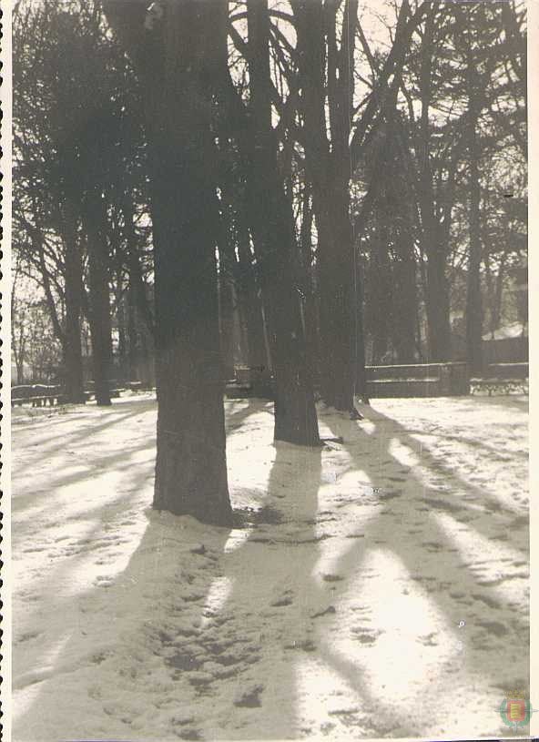 Nevadas históricas en Valladolid