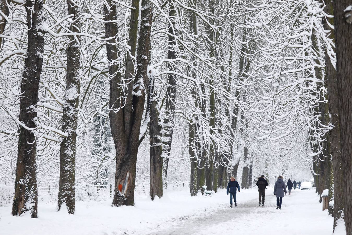 París se viste de blanco