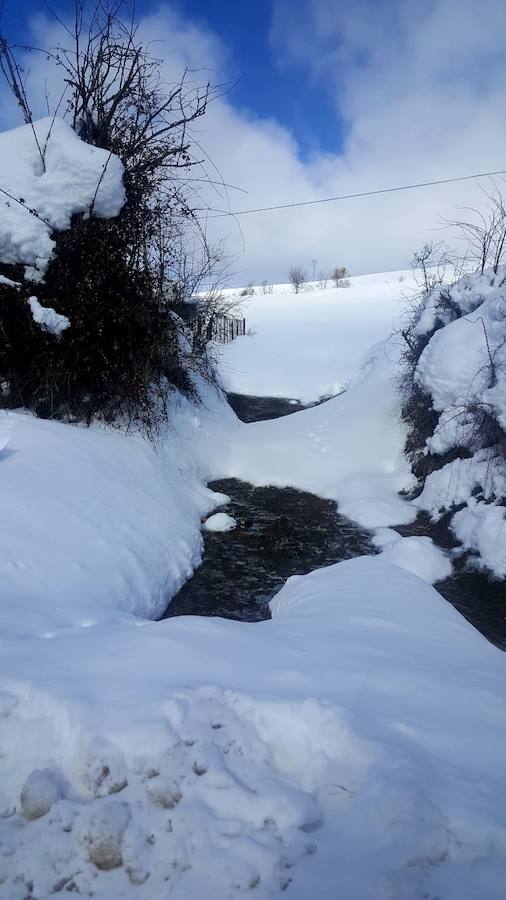Deja de nevar en Palencia, pero la nieve tardará en marcharse