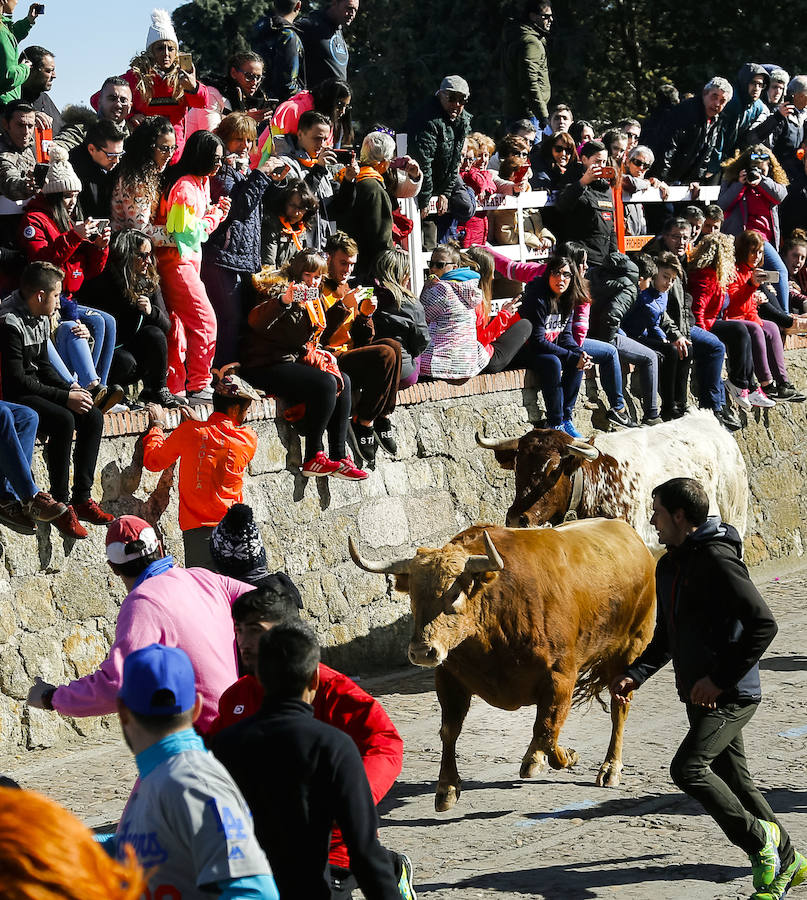 Sábado en el Carnaval del Toro de Ciudad Rodrigo