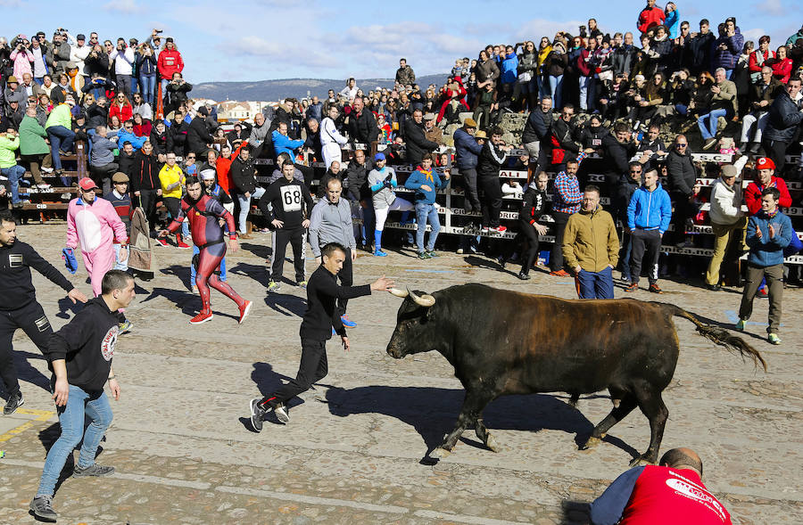 Sábado en el Carnaval del Toro de Ciudad Rodrigo