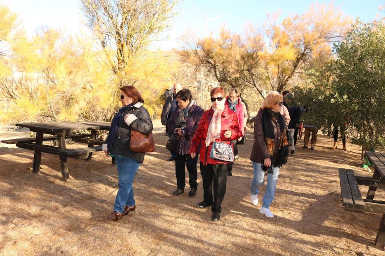 Visitar el Cerrato Palentino deja huella