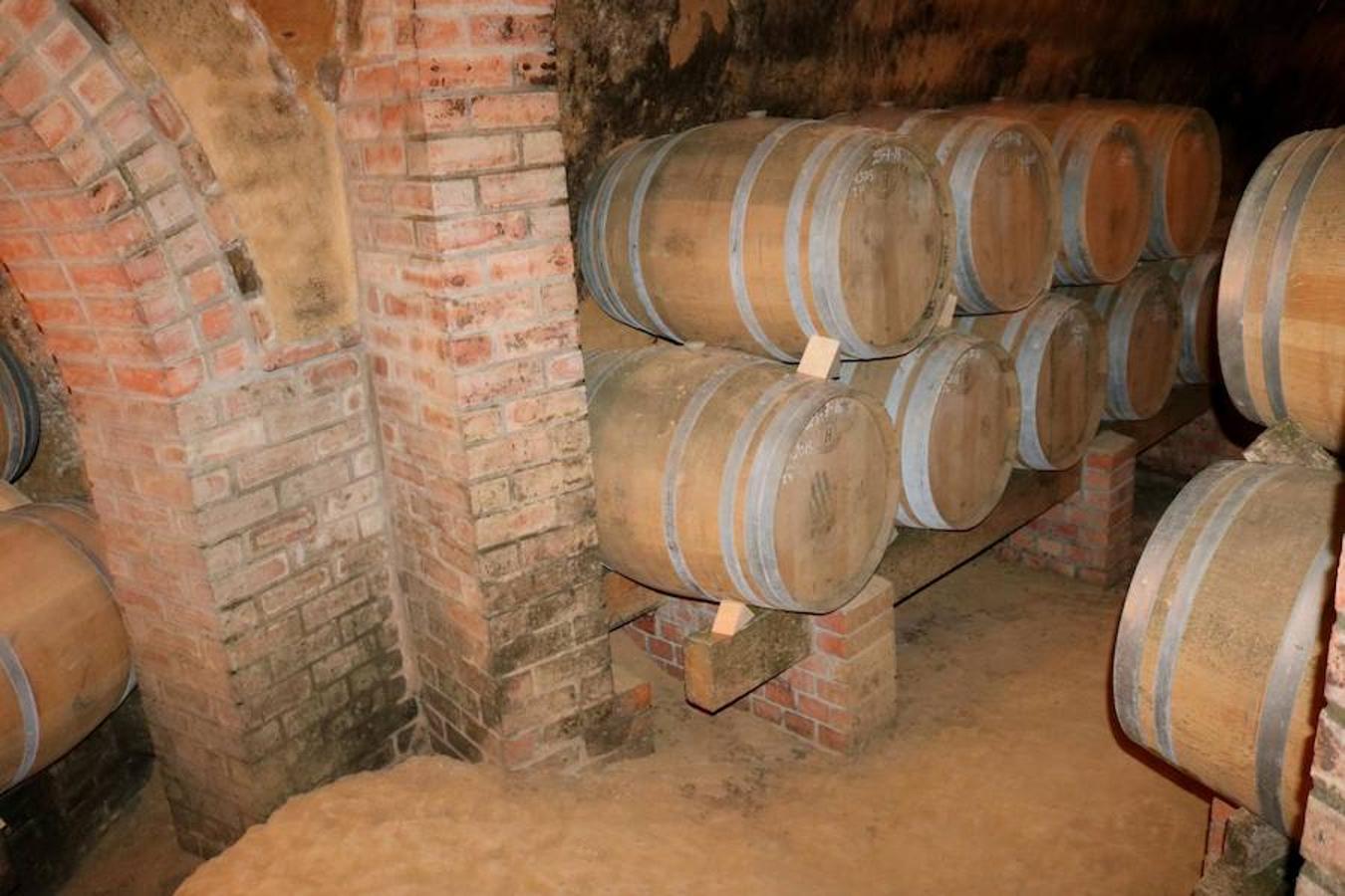 Visitar el Cerrato Palentino deja huella