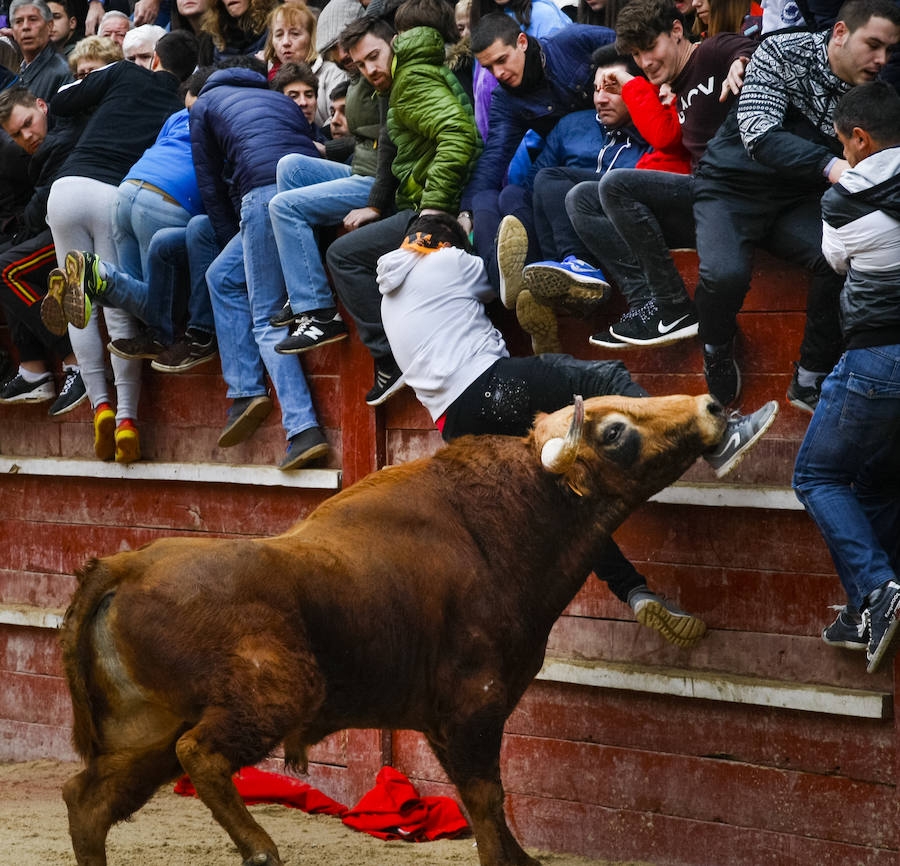 Momento en el que un joven de Soria es corneado por un toro durante la capea