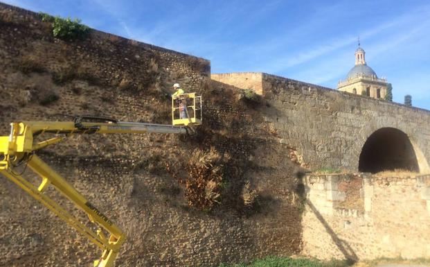 Herida al caerse desde lo alto de la muralla de Ciudad Rodrigo