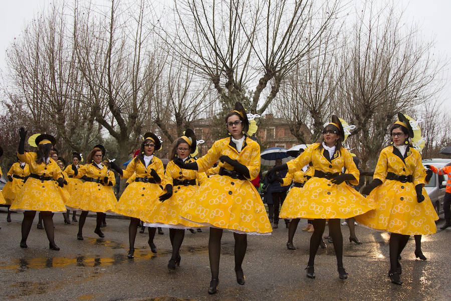 han participado decenas de niños, mayores y murgas, con ingeniosos y divertidos disfraces, carros y carrozas. 
