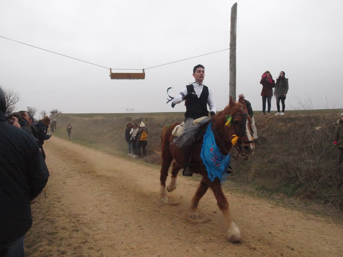 Carrera de cintas a caballo de los quintos de Torrelobatón