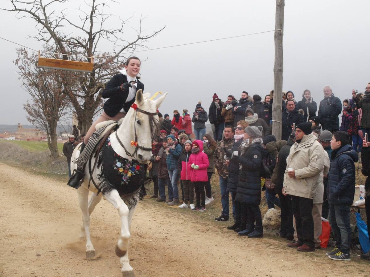 Carrera de cintas a caballo de los quintos de Torrelobatón