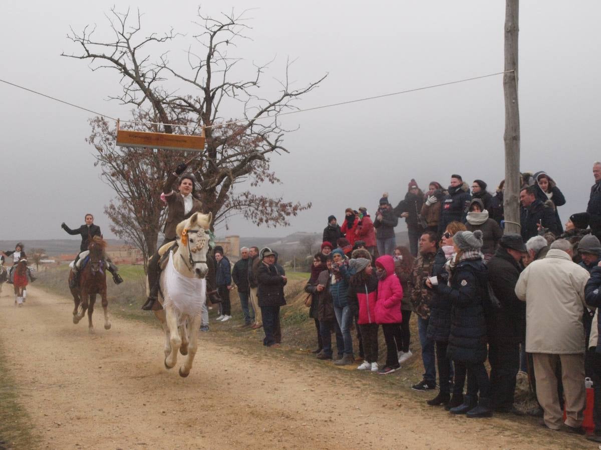 Carrera de cintas a caballo de los quintos de Torrelobatón