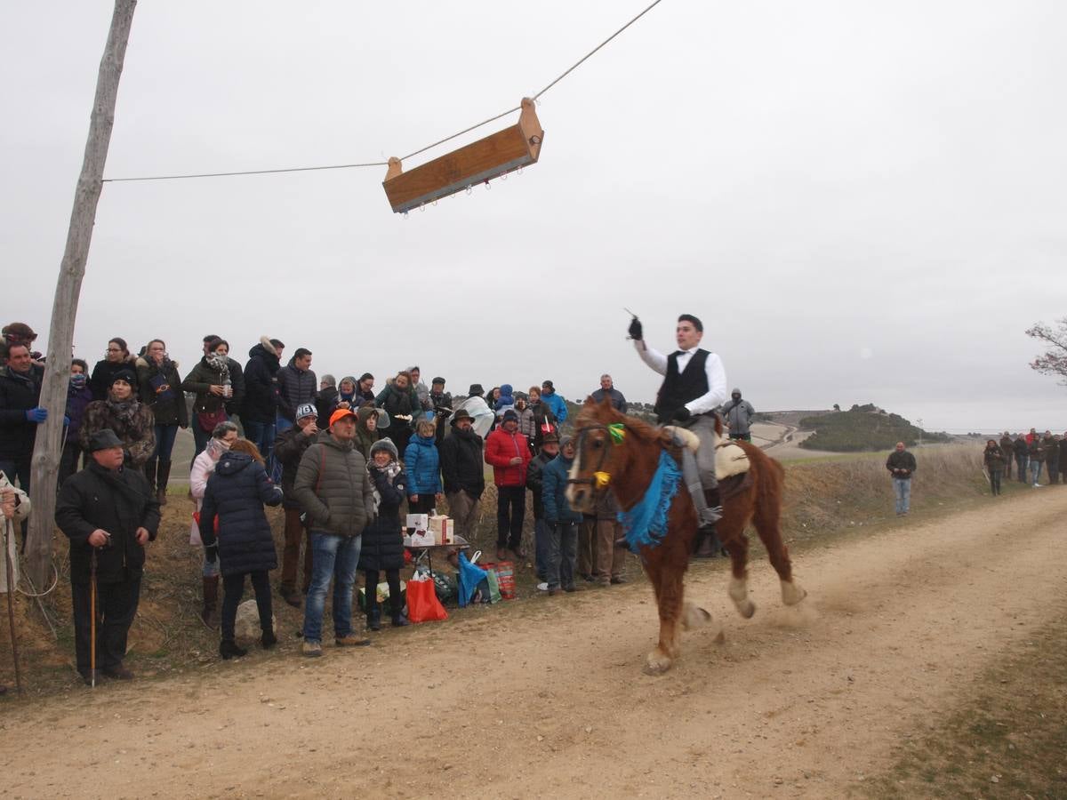 Carrera de cintas a caballo de los quintos de Torrelobatón