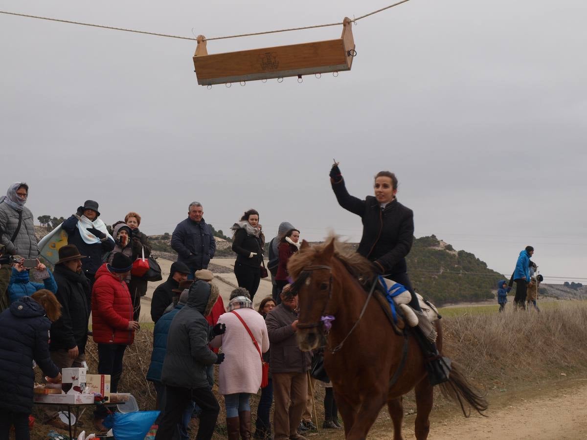 Carrera de cintas a caballo de los quintos de Torrelobatón