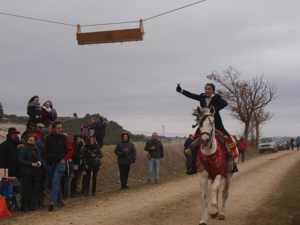 Carrera de cintas a caballo de los quintos de Torrelobatón